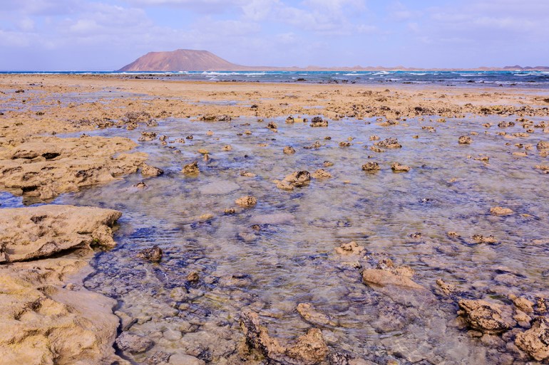 corralejo1